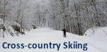 Cross-Country Skiing